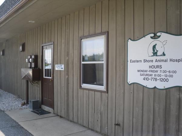 Eastern Shore Animal Hospital